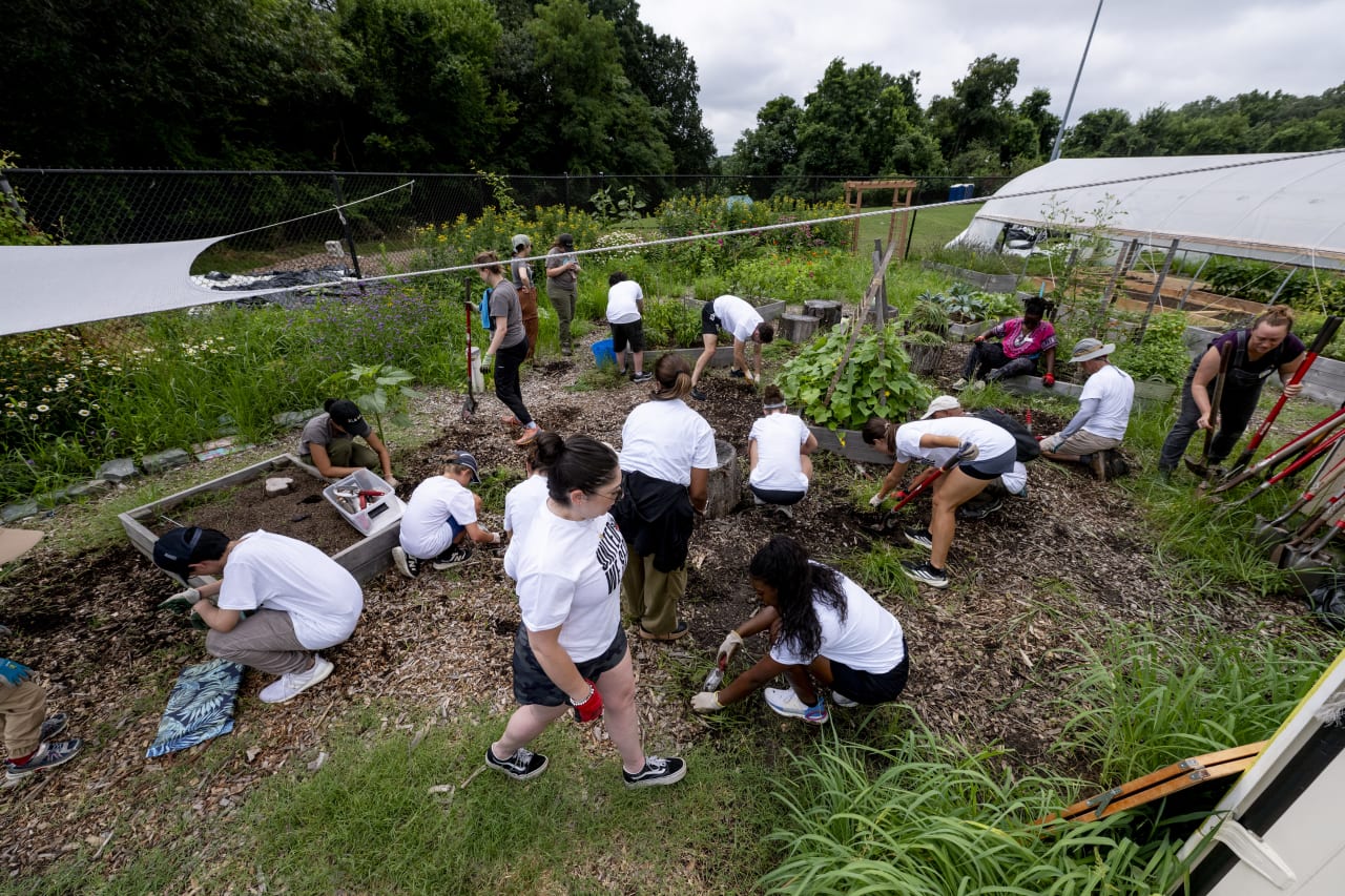 United We Serve | City Blossoms | July 2025